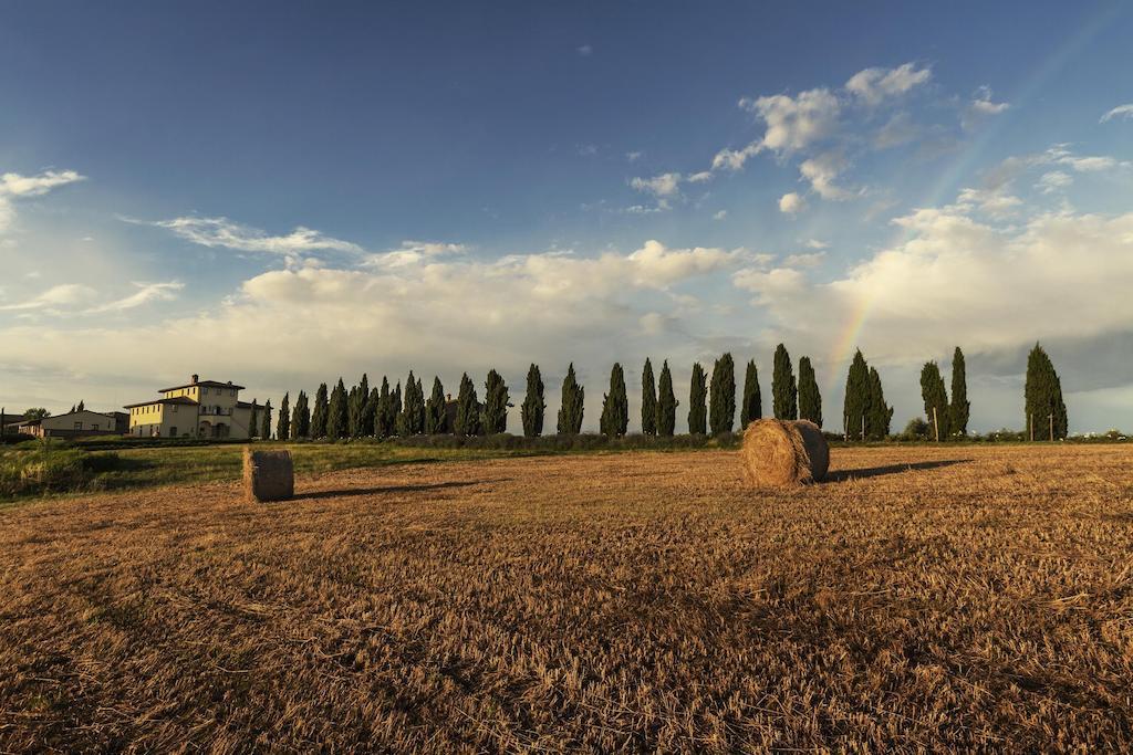 Casale Podernovo Terricciola Zewnętrze zdjęcie